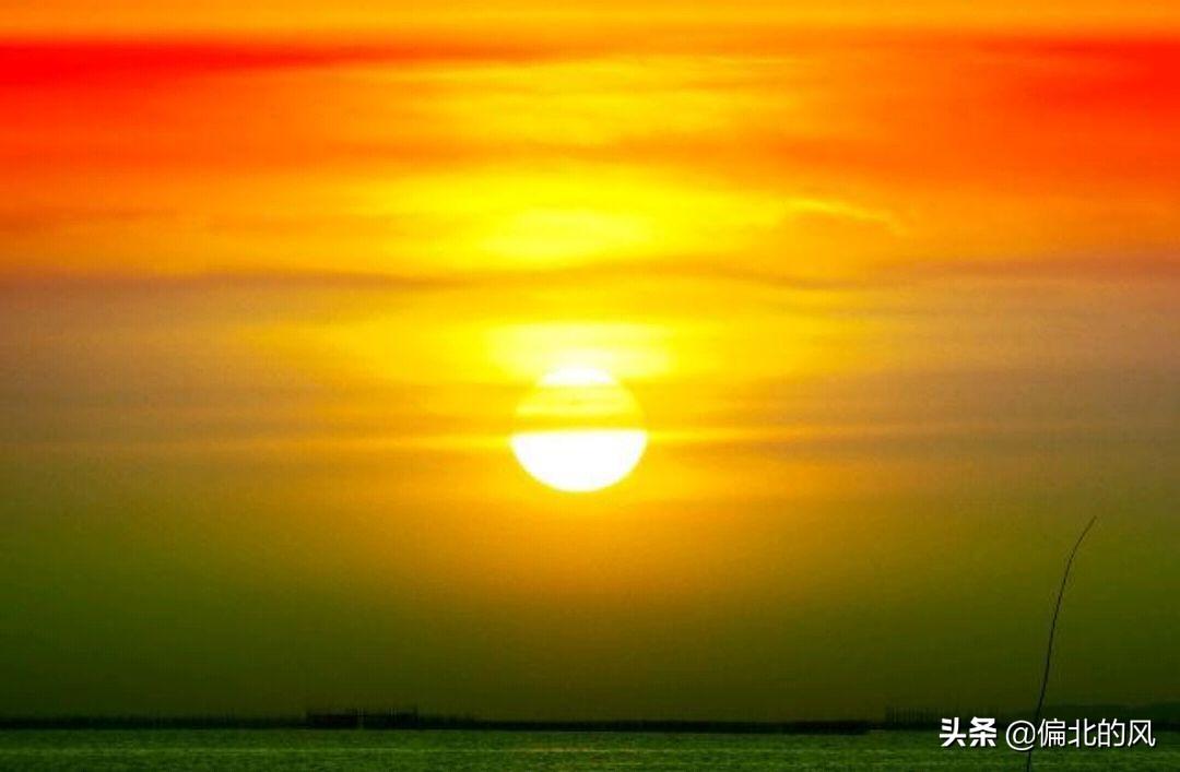 炫恋最新版，自然之旅与内心的平和探索