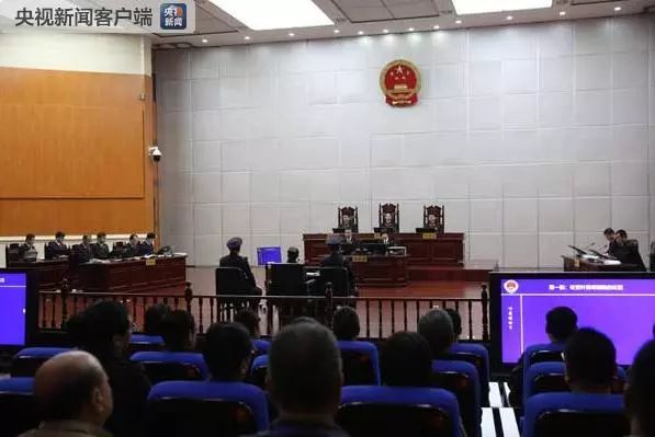 最新法庭纪律宣布与探索自然美景的轻松旅行体验