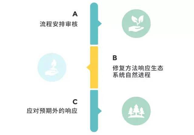 新澳资料免费提供,案例分析_YGF34.480UHD