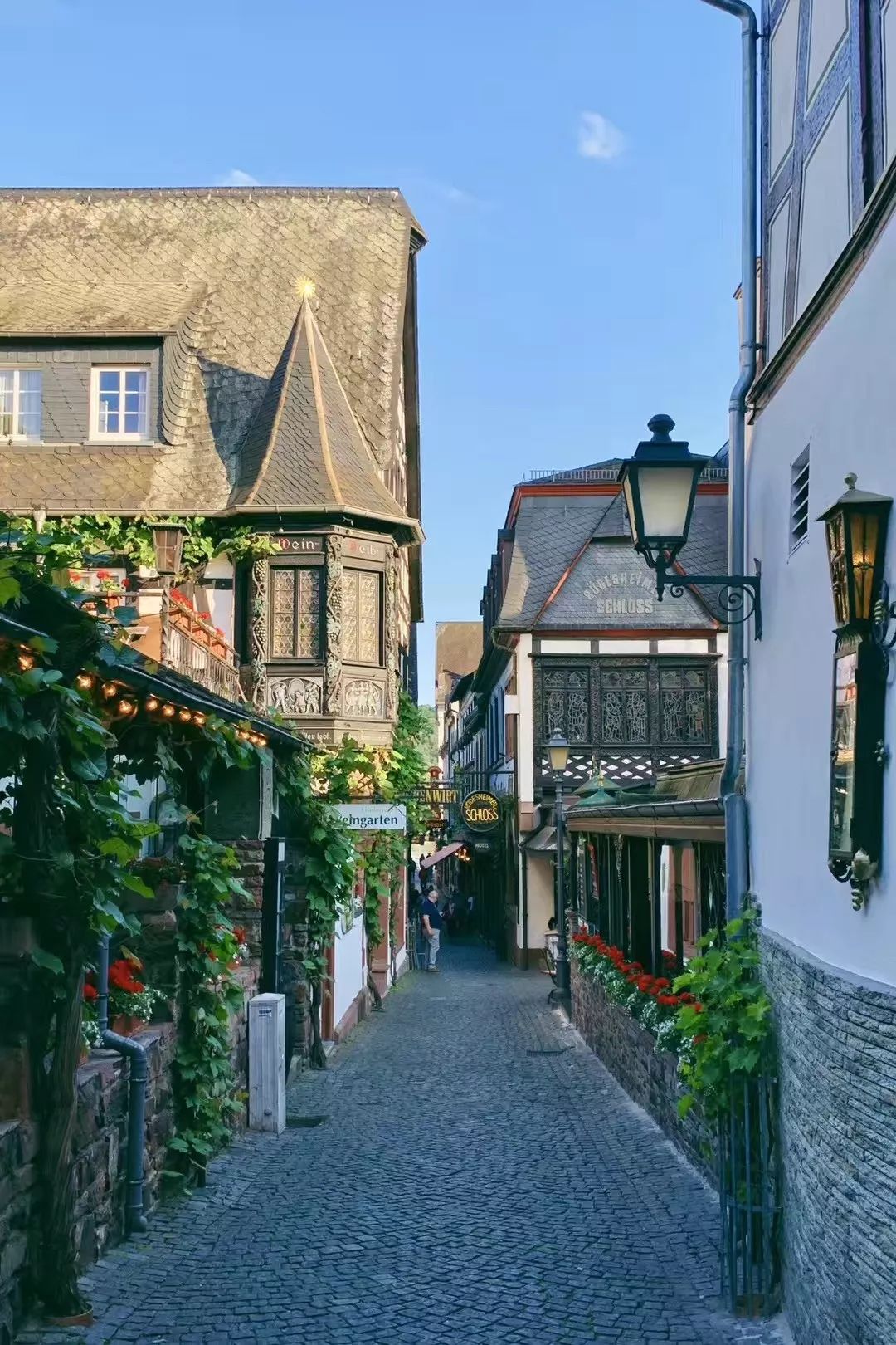 sexinse最新地址,探索小巷深处的独特风情——sexinse最新地址带你发现一家特色小店