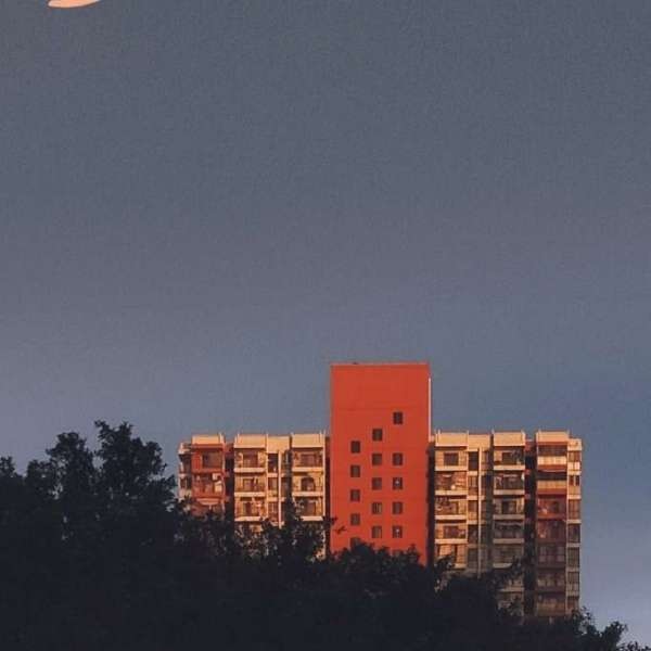 2023年澳门天天开彩免费记录,现象分析定义_JTW34.583安全版