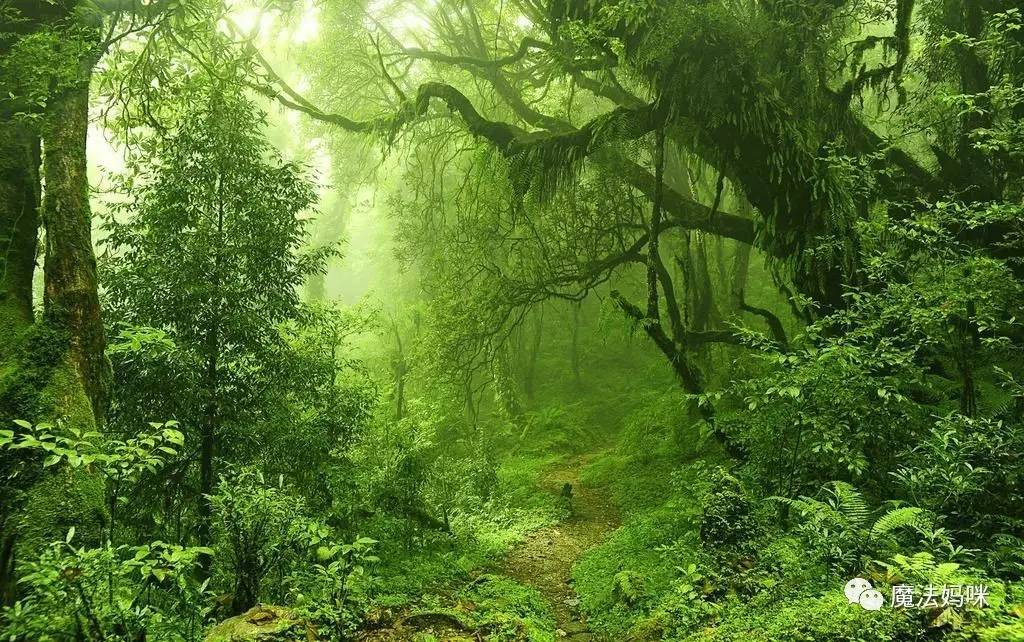 最新款绿鬼,自然美景探险之旅启动