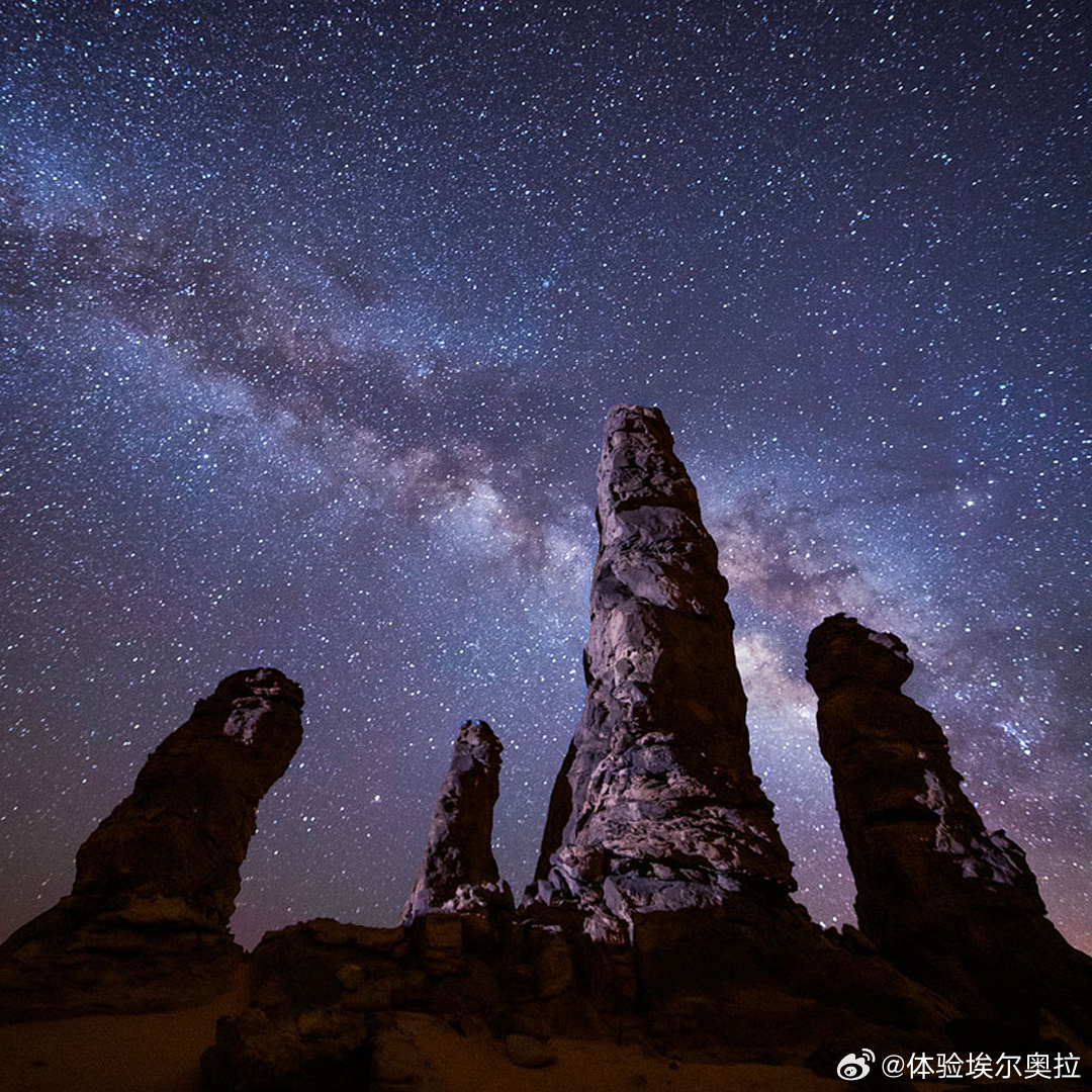 伙星最新版，自然美景探险之旅开启！