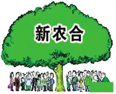 农合报销政策更新,心灵与自然的和谐之旅