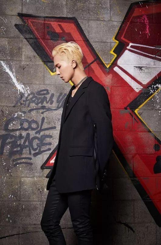 Winner最新动态全面解读,不容错过的最新消息!