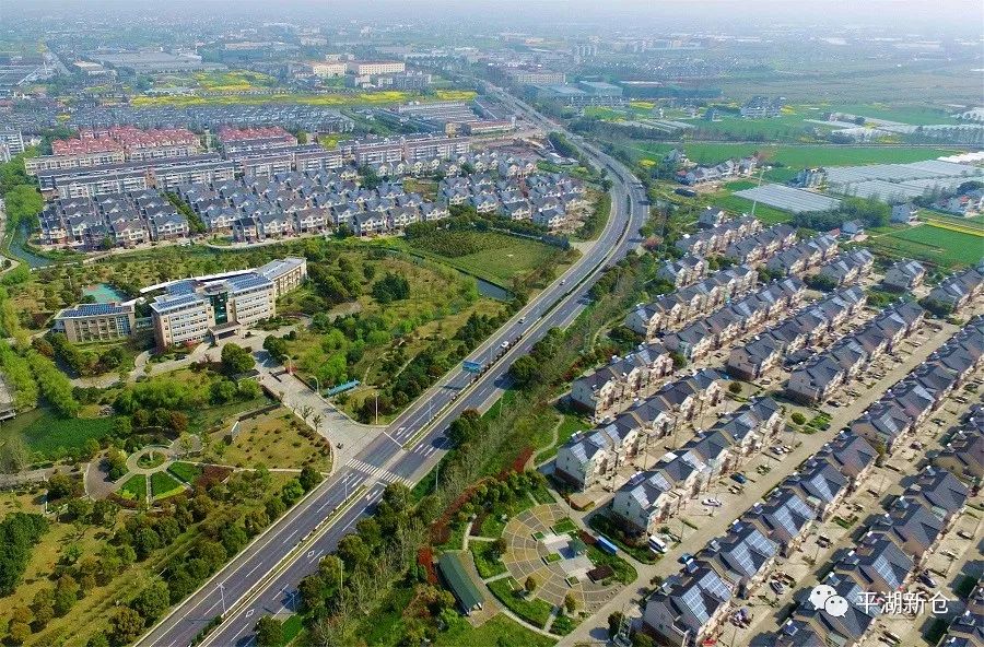 任县最新动态,小城温馨日常与友情力量的展现