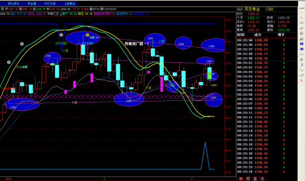 2024年生殖器疱疹攻克进展,安全性方案执行_FFO34.563闪电版