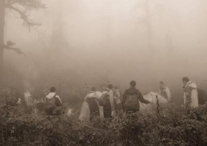 2023澳门必买的3大生肖,专家解说解释定义_PPD34.267时尚版