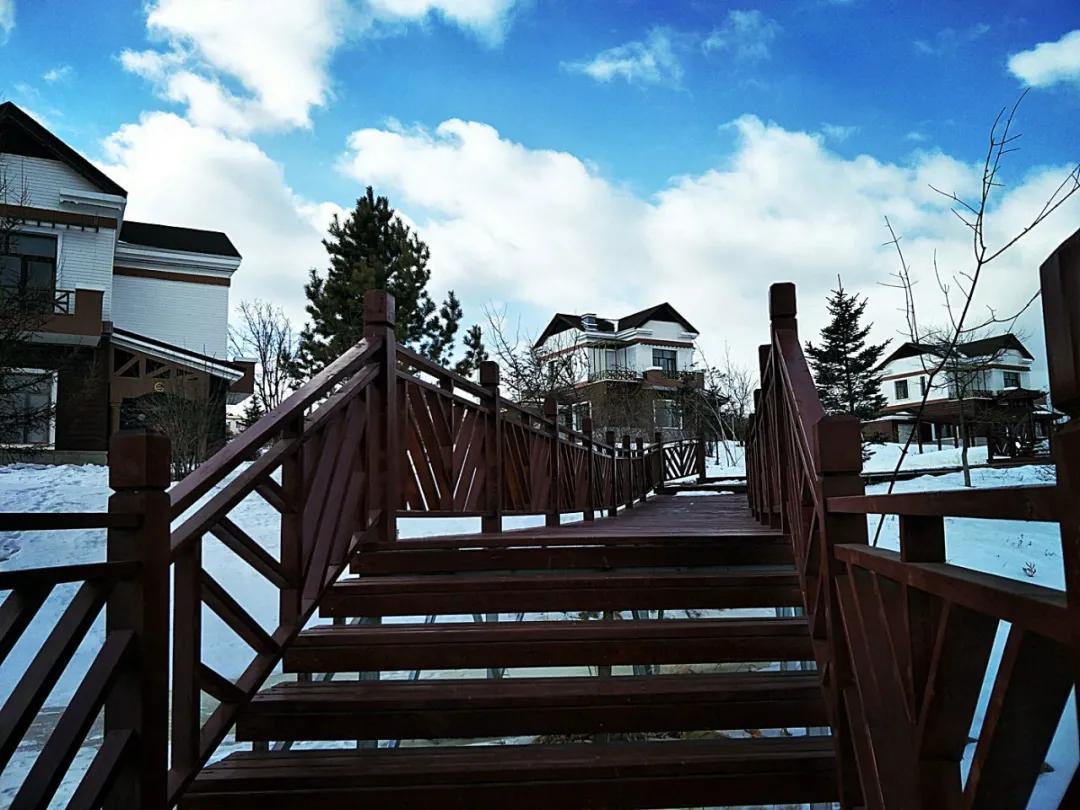 上海最新楼盘,与自然美景的邂逅,内心平和绿洲的寻觅