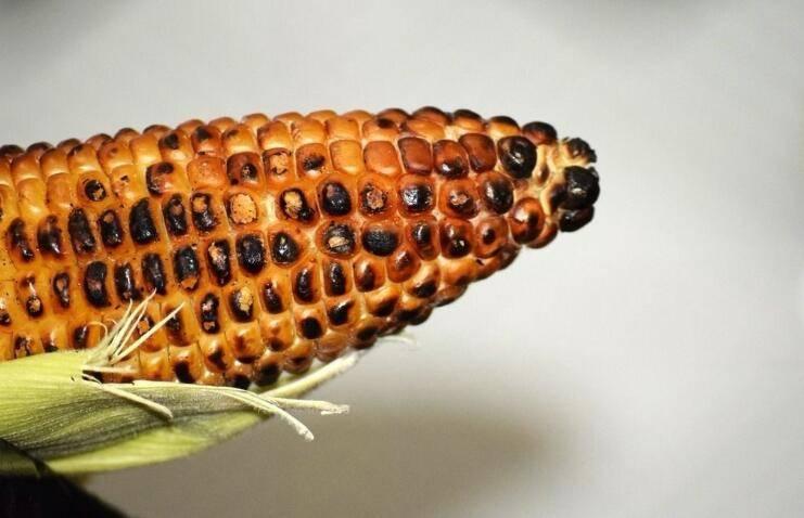 Sky最新动态聚焦,洞悉前沿消息,掌握行业动向