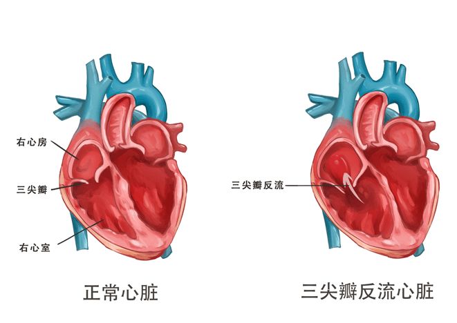 三房心最新小巷美食探秘，隐秘的美食天堂