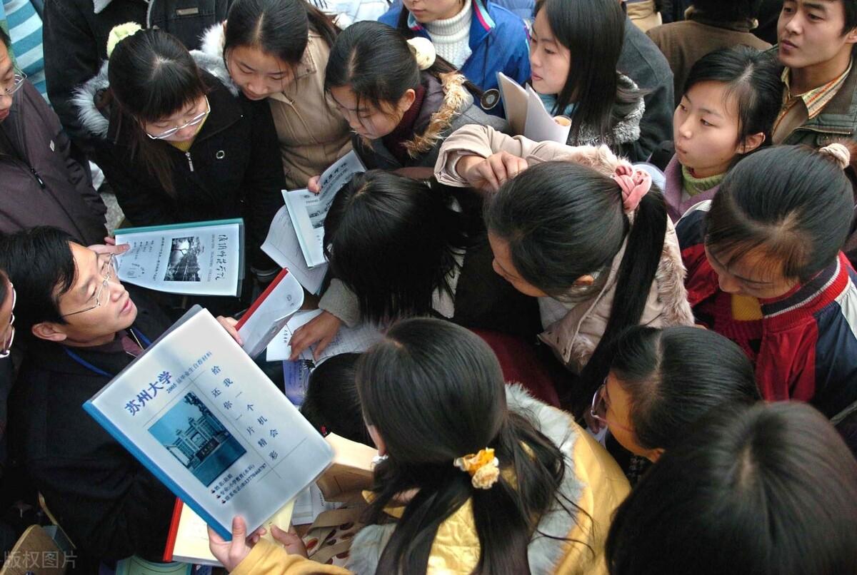 仙葫最新招聘，观点阐述与分析概览