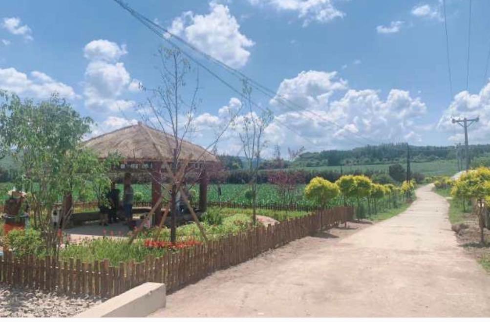 武汉最新入户政策,探索自然美景的旅行邀请函