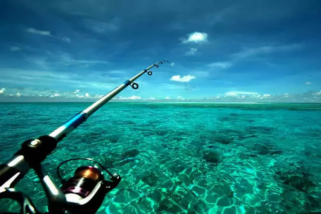 青岛最新海钓地点揭秘,时代浪潮下的垂钓盛宴