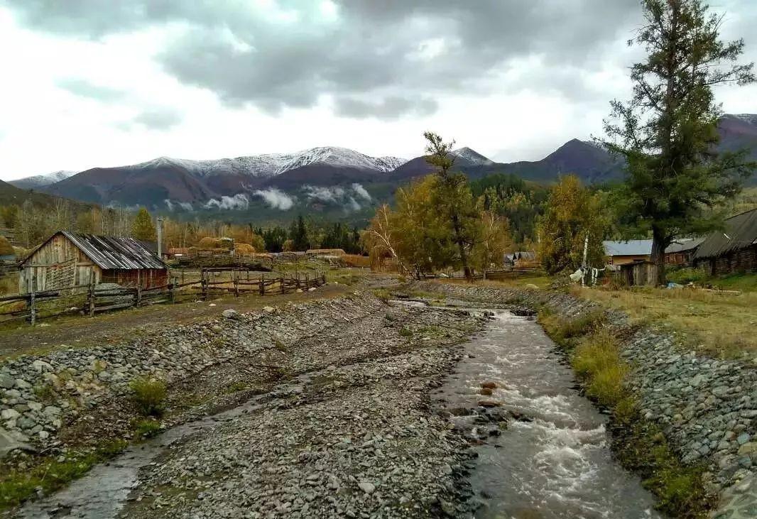 最新电影童话村网，一个值得关注的电影平台深度探讨