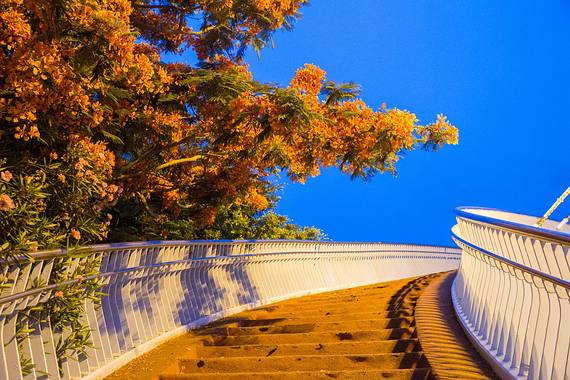 探寻未知秘境,揭秘最新地址00271的自然美景盛宴