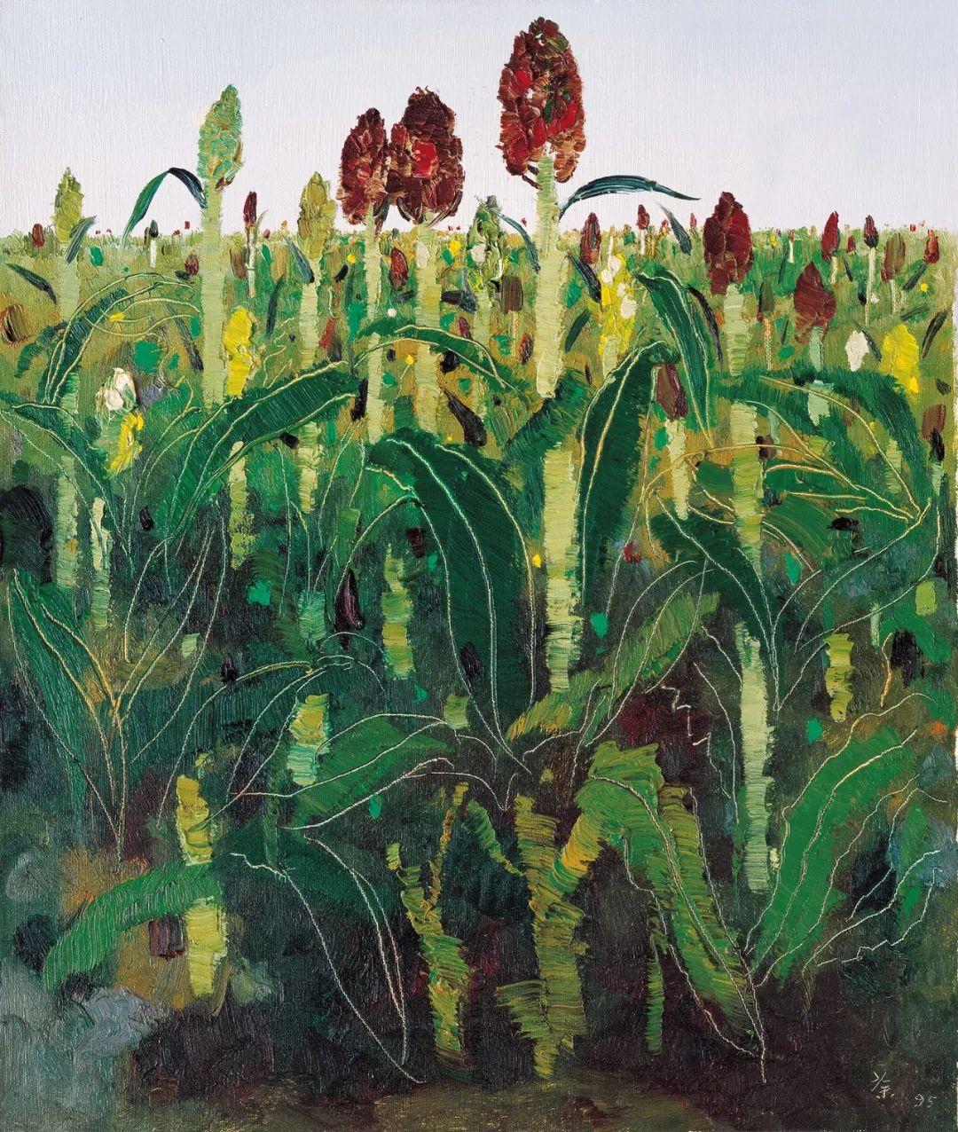 高粱价格最新行情与寻找内心平静的自然美景之旅