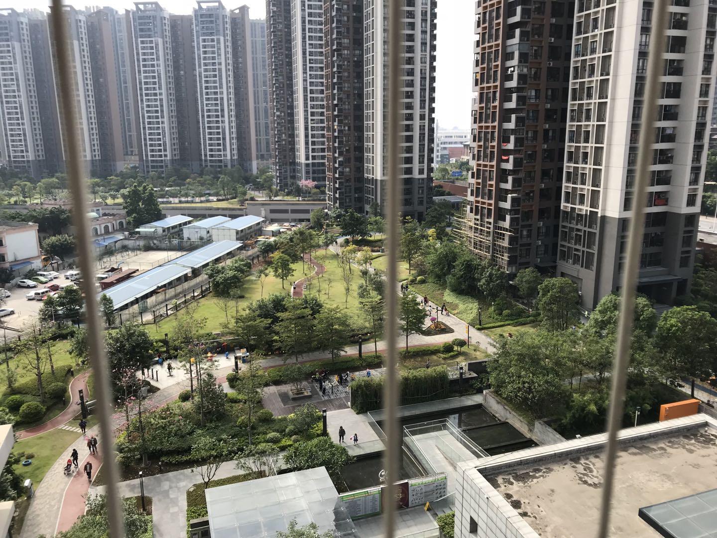 萝岗新楼盘的温馨生活日常介绍