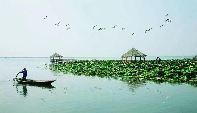 昆山淀山湖镇最新规划揭晓，塑造未来水乡新篇章