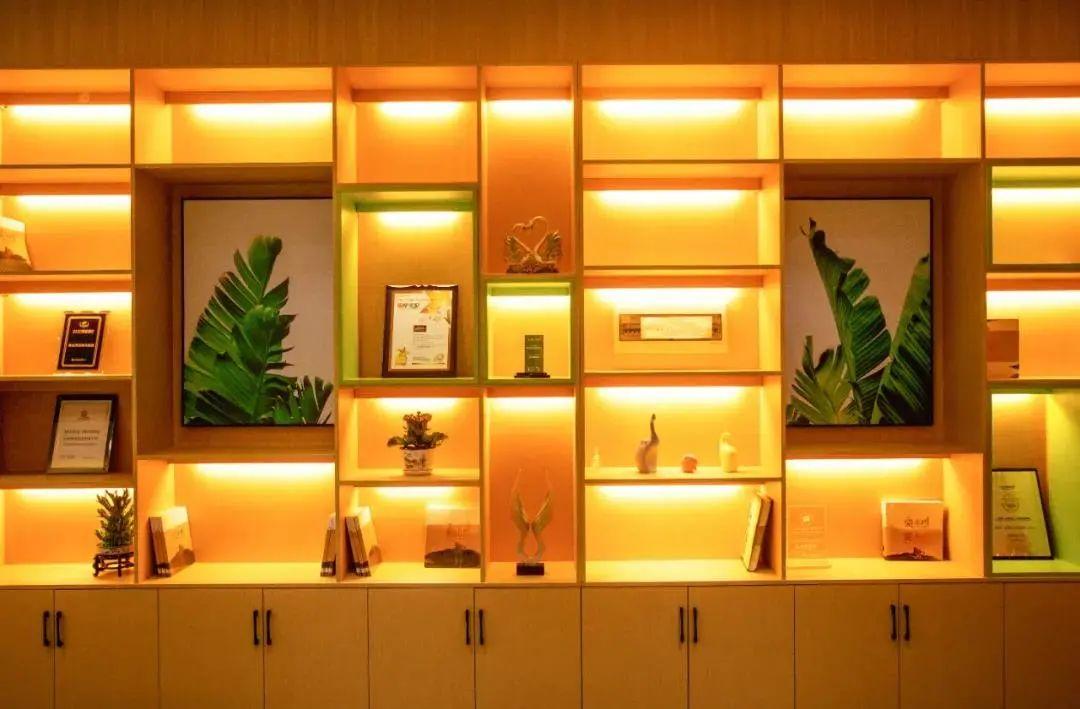 物权法最新司法解释与小巷中的隐秘宝藏店揭秘