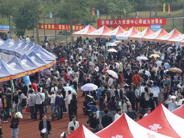 辽化最新招聘日常趣事概览