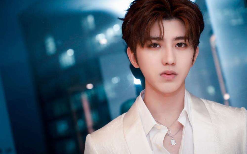 席绢最新小说 2016，文化与情感的精彩碰撞