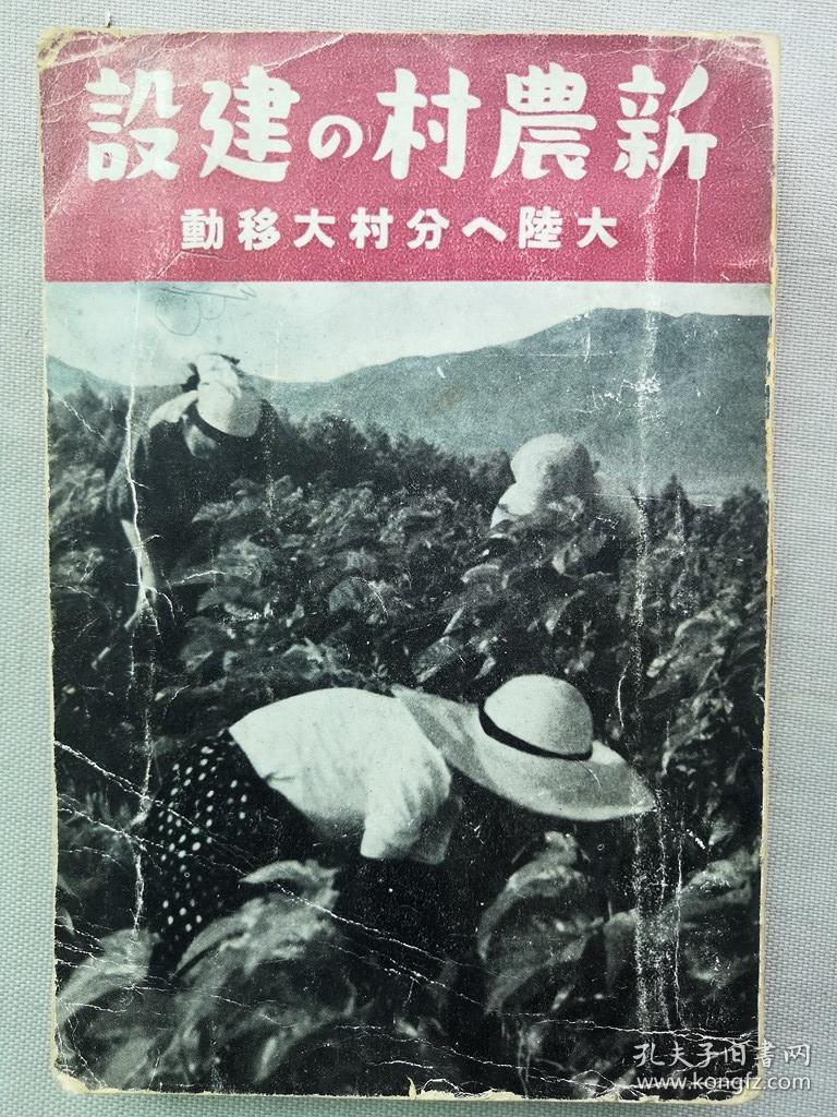 抗联1939最新章节,日常趣事与深厚友情纽带