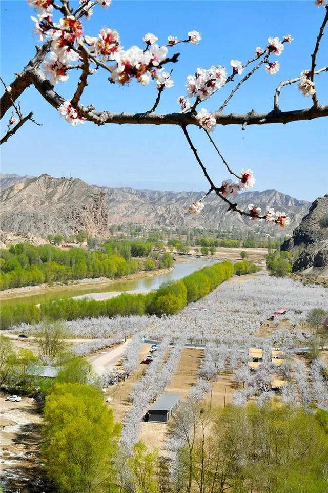 甘肃省委最新公示，科技重塑生活新体验