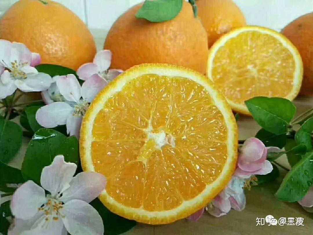 探索未来果篮,最新水果品种璀璨明珠亮相!