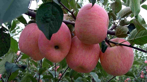 离心式冷水机组 第589页