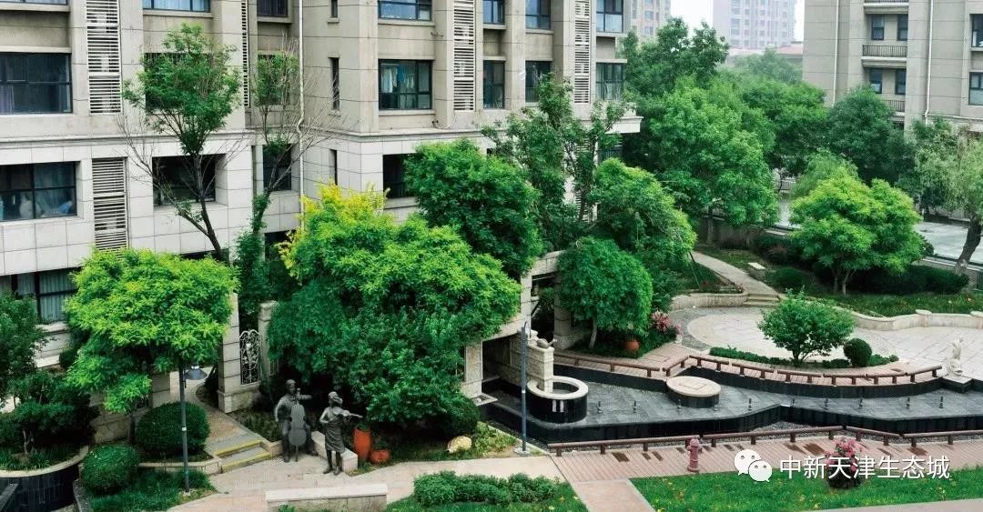 神华怡园最新动态揭秘，探索自然美景之旅，寻找内心宁静之道