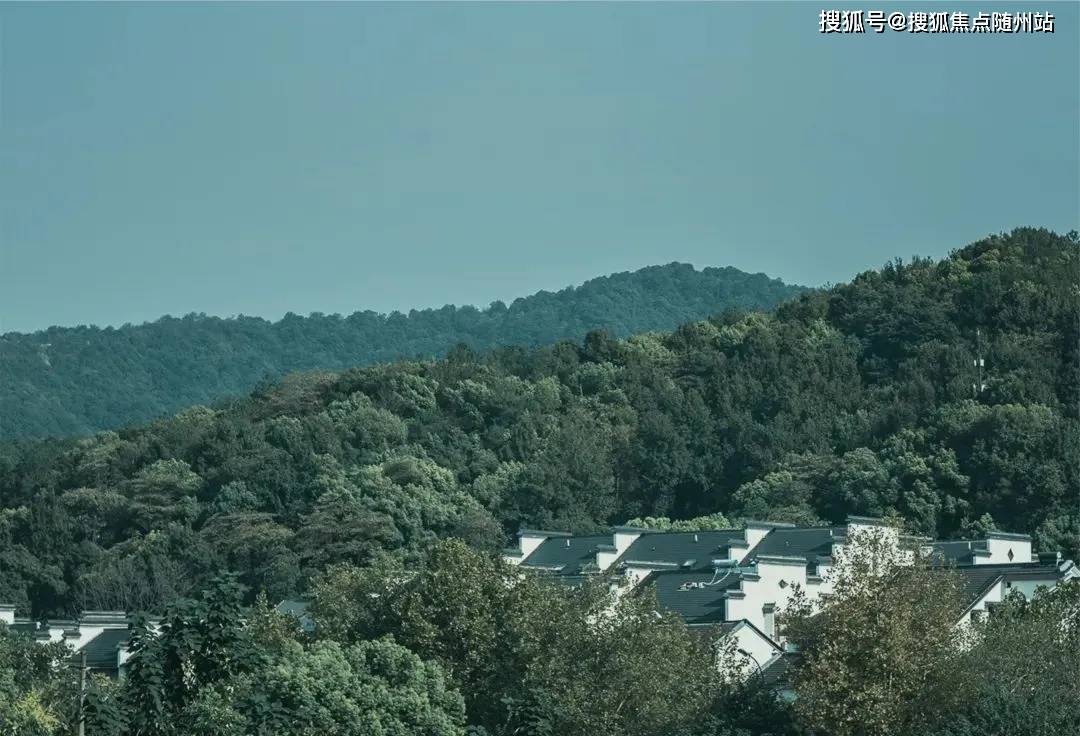 神华怡园最新动态揭秘,探索自然美景之旅,寻找内心宁静之道