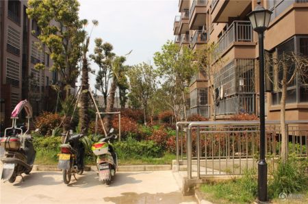 望江县最新开盘房价探索，自然美景之旅启程