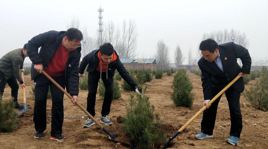 济源三湖嘉园最新动态揭秘，最新进展与更新