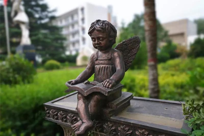 临潼德杰德裕天下最新动态深度解析与观点阐述