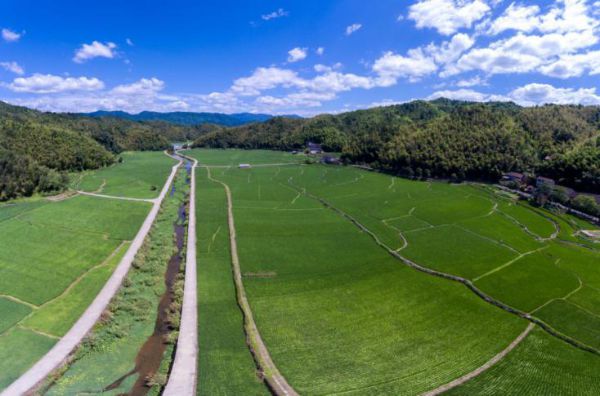 高恩高速最新动态，驶向自然美景，探索内心平静的奇妙旅程