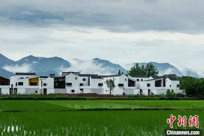 枞阳横埠镇,活力之源的新变化与励志故事振奋人心