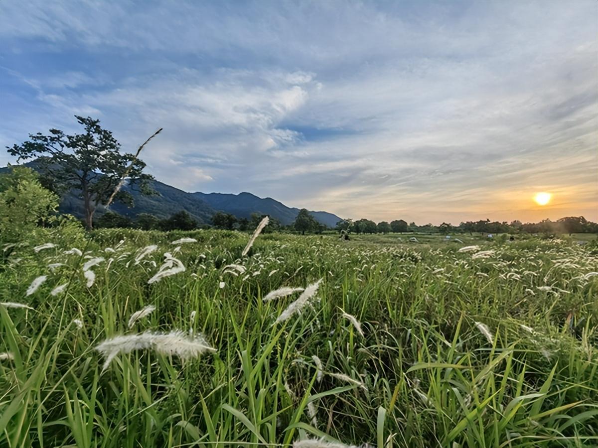 丁香园招聘护士探索自然美景之旅,寻找内心的平和宁静之旅