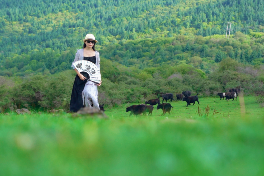 爱5开拍最新消息，自然美景之旅，探寻内心平和宁静的旅程