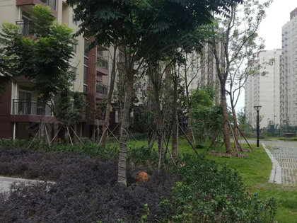 合郢花园未来蓝图揭秘,最新动态展望美好居住生活