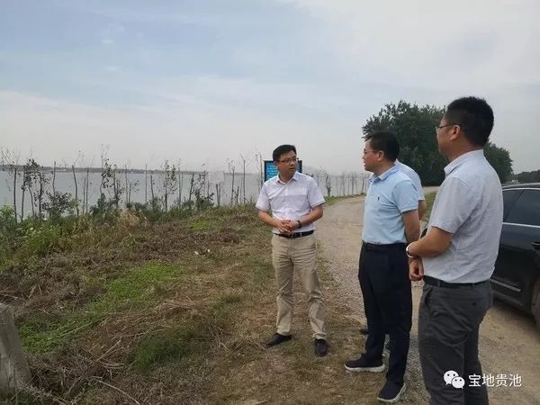 余庆杨再分最新消息揭秘,一段充满温馨的日常生活故事