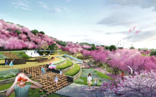 龙泉区柏合镇规划全解析,步骤指南与初学者进阶指南