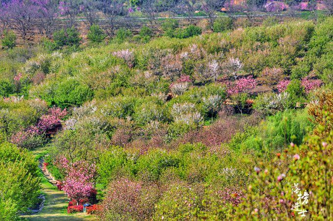 汽车之家2016最新报价深度推荐，巷弄中的隐藏之宝