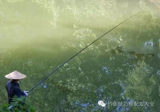 垫江找工作最新招聘,求职全步骤指南