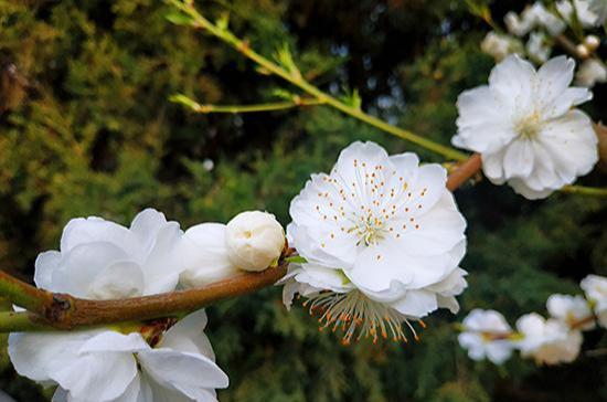 一日禅，最新心态下的自然美景轻松探索之旅