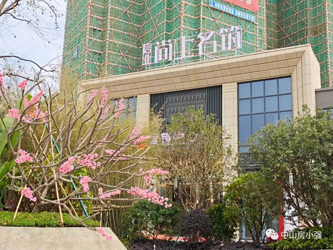 MV2345最新地址详解，步骤指南与最新入口