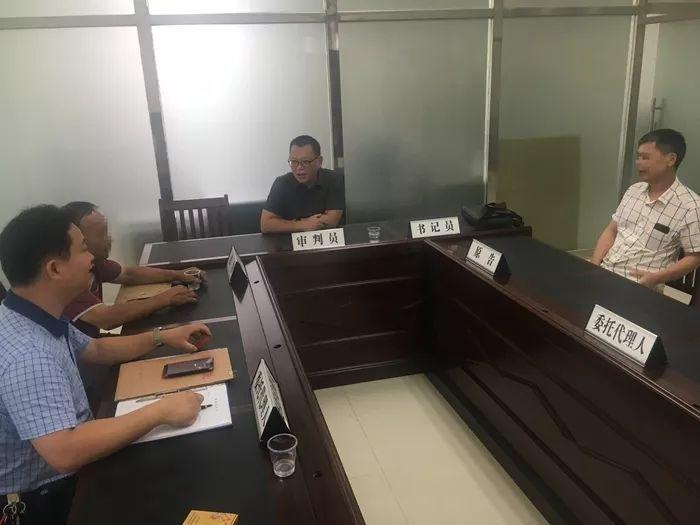 广西博白英桥最新新闻及其影响，一种观点深度解析