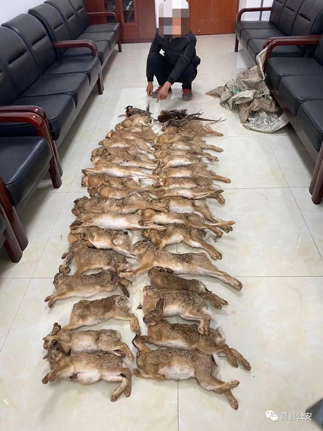 莒县最新楼盘大全价格，科技居住梦想重塑地