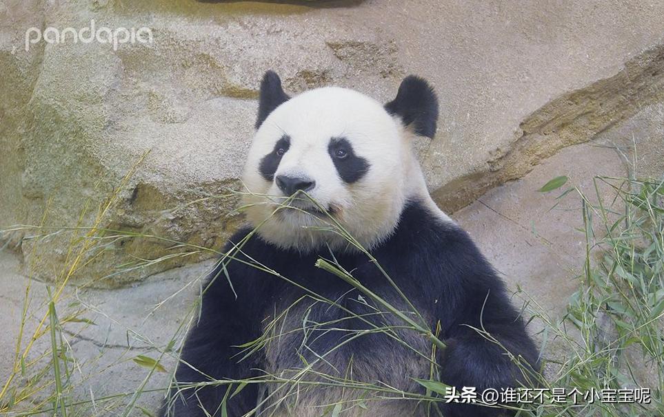 一只舟最新伤感歌曲深情演绎,触动心灵深处的旋律