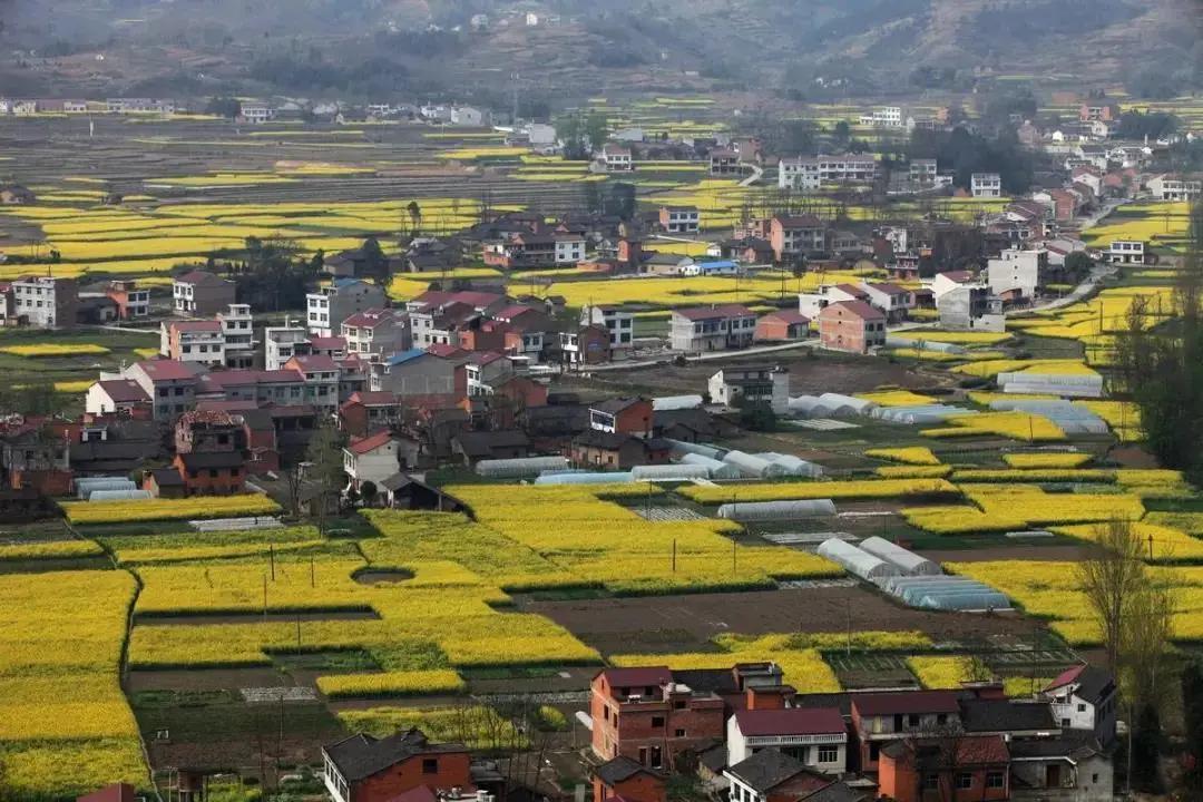 3台空气处理机组 第576页